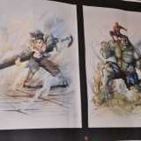 Tavole in mostra al festival